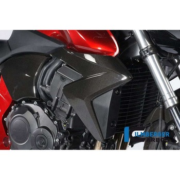 カーボンパーツ ラジエーターカバー 右側 CB 1000 R ILMBERGER (イルムバーガーカーボンパーツ)