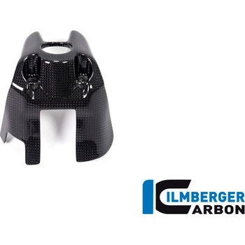 カーボンパーツ イグニッションスイッチカバー グロス ILMBERGER (イルムバーガーカーボンパーツ)