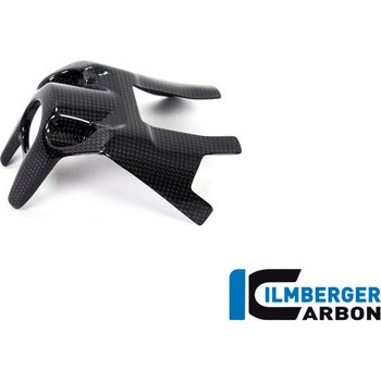 カーボンパーツ イグニッションスイッチカバー グロス ILMBERGER (イルムバーガーカーボンパーツ)