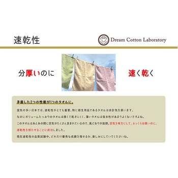 1秒吸水キッチンタオル 全国家庭用品卸商業協同組合