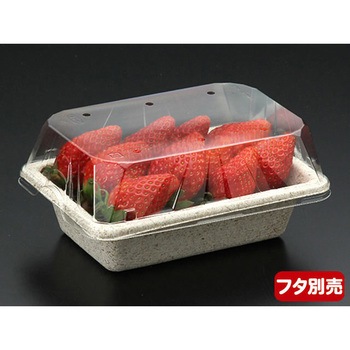 青果容器 WB PackStyle(パックスタイル)