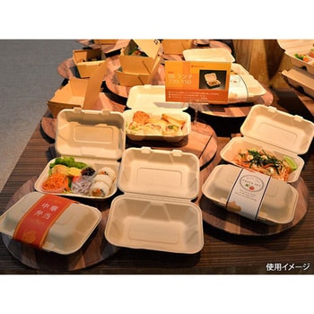 220-150 弁当容器 BBランチ 1袋(50枚) PackStyle(パックスタイル