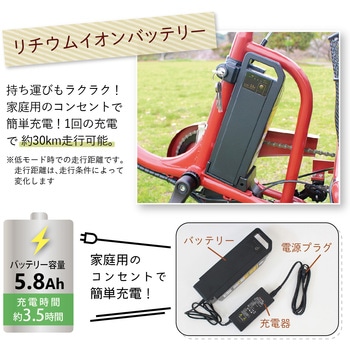E-PARTON ロータイプ電動アシスト三輪自転車 ミムゴ