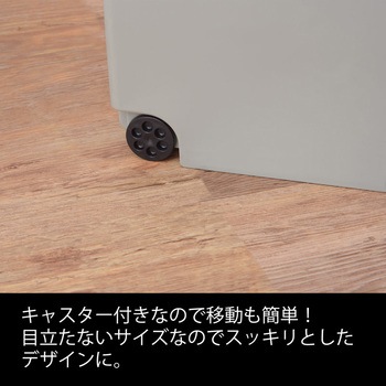 スライドペール30L 東谷