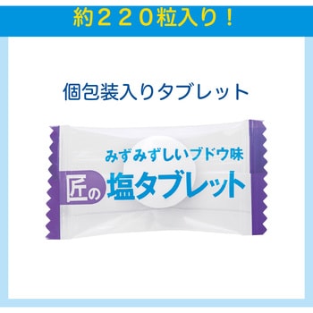 27867 匠の塩タブレット BGPアソート 1袋(500g) サラヤ(SARAYA) 【通販