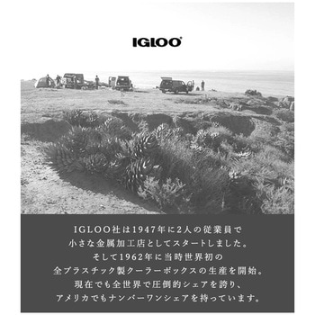 大型クーラーボックス ポーラー イグルー