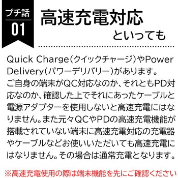 【+ECO】PD20W対応(USBX2，TYPE-CX1)AC充電器 エアージェイ