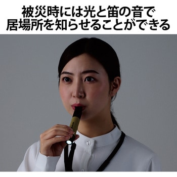 懐中電灯 LEDライト ランタン 災害救助笛 小型 電池式 単4電池 防水・防塵 IP44 防災 笛 エレコム