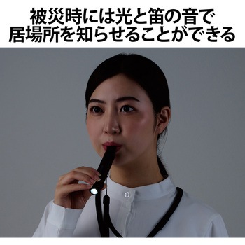 懐中電灯 LEDライト ランタン 災害救助笛 小型 電池式 単4電池 防水・防塵 IP44 防災 笛 エレコム