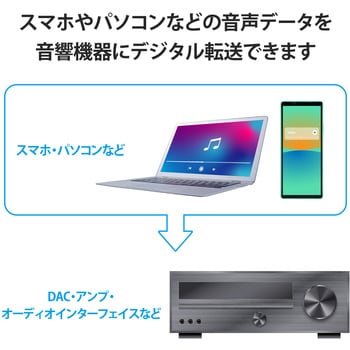 タイプCケーブル (Type-C to C) 1m 高耐久 ハイレゾ対応 RoHS指令準拠 エレコム