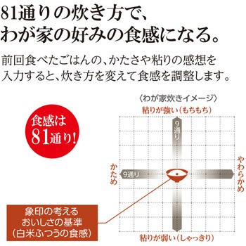 NW-JX10 圧力IH炊飯ジャー 極め炊き 1台 象印マホービン 【通販サイト