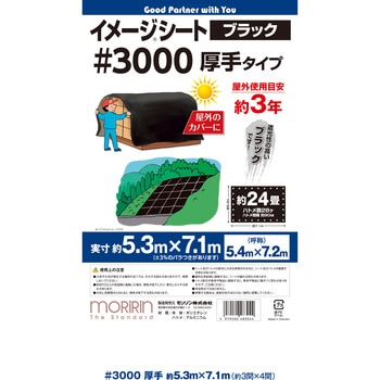 #3000 ブラックシート モリリン