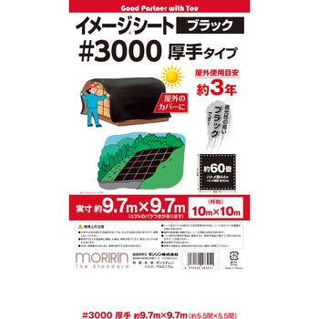#3000 ブラックシート モリリン