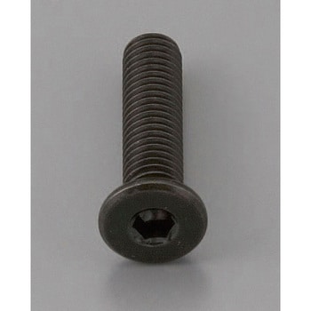 M4x10mm六角穴付ボルト(超低頭/クロメート/4本) エスコ