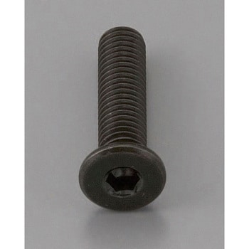 M5x10mm六角穴付ボルト(超低頭/クロメート/4本) エスコ