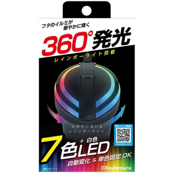 ボトルアッシュレインボーライト カシムラ