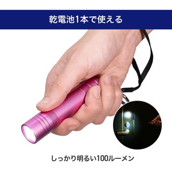 LEDカラーアルミライト 100ルーメン コンパクト 防雨形 IPX3 単三電地1本 ELPA