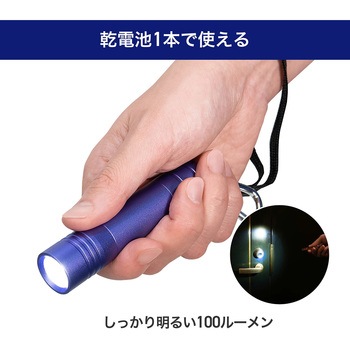 LEDカラーアルミライト 100ルーメン コンパクト 防雨形 IPX3 単三電地1本 ELPA