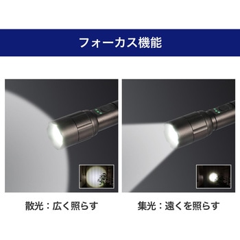 LEDアルミハンドライト 250ルーメン 単3形乾電池2本 集光・散光 ELPA