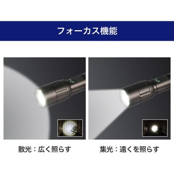 DOP-EP530 LEDアルミハンドライト 350ルーメン 単3形乾電池2本