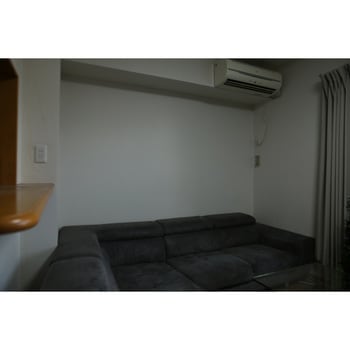 moreleaf oriental ノーブランド