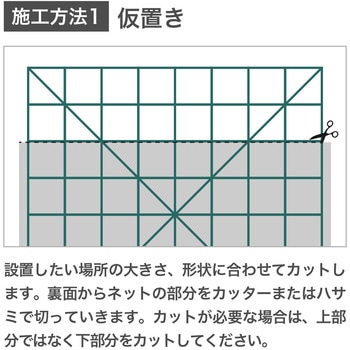 moreleaf oriental ノーブランド