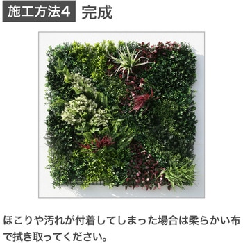 moreleaf oriental ノーブランド
