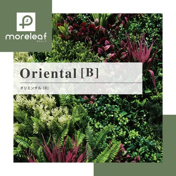 moreleaf oriental ノーブランド