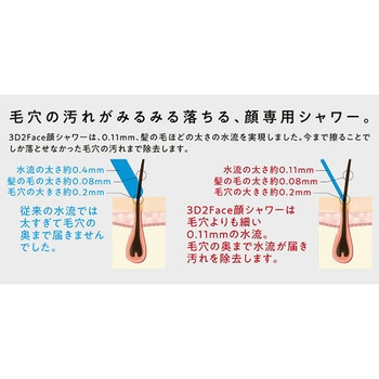 3D 2Face 顔シャワー アラミック