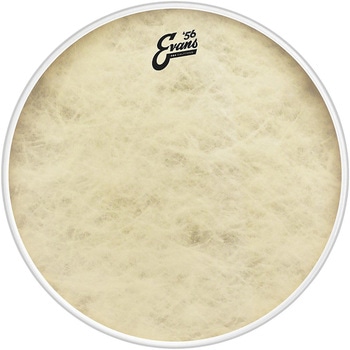 ドラムヘッド EQ4 Calftone Bass BD18GB4CT 18インチ EVANS