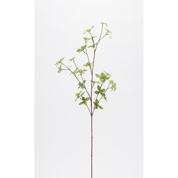どうだんつつじ L76cm グリーン 【エコマーク取得品】 日本ビダヤコム