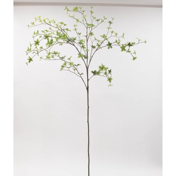 どうだんつつじ L135cm グリーン 日本ビダヤコム