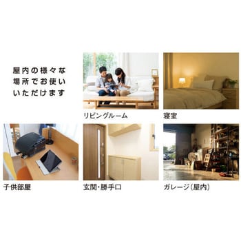 蚊取り・先攻! ハタヤリミテッド