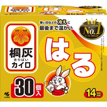 桐灰はる 桐灰