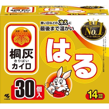 桐灰はる 桐灰