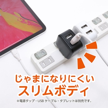 USB-ACアダプタ スリム 2.4A MCO