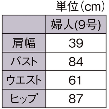PP製 婦人トルソー - ストア・エキスプレス