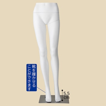 PP製 婦人パンツトルソー ストア・エキスプレス