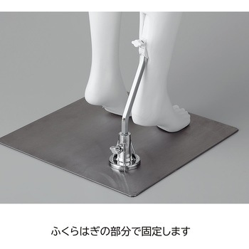 PP製 紳士パンツトルソー ストア・エキスプレス