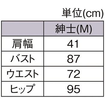 8066-502 軽量ABS製 紳士腕付きトルソー 1台 ストア