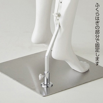 軽量PE製 婦人リアルマネキン ストア・エキスプレス