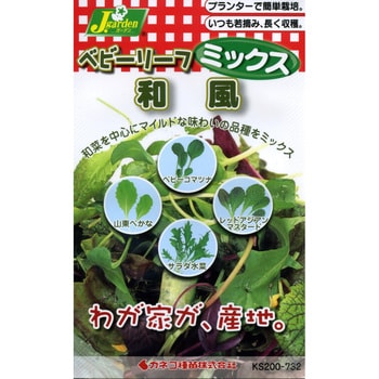 タネ】ベビーリーフ_ミックス 和風 カネコ種苗 野菜の種 通年 【通販