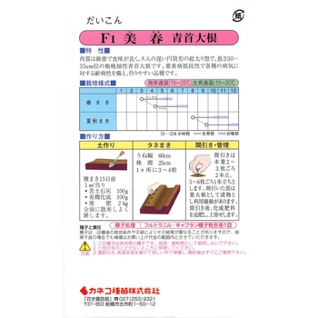 [タネ】青首大根 美春 カネコ種苗