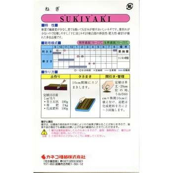 [タネ】太ねぎ SUKIYAKI カネコ種苗