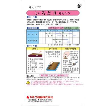[タネ】早生キャベツ いろどり カネコ種苗