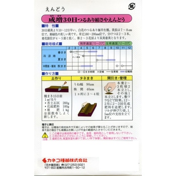 [タネ】つるあり絹さやえんどう 成増30日 カネコ種苗