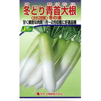 タネ】冬どり青首大根 冬の浦 カネコ種苗 野菜の種 秋まき 【通販