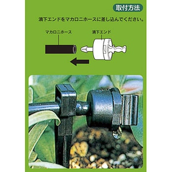 滴下エンド カクダイ