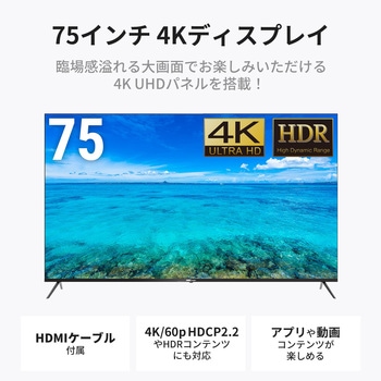 DMM.make 75インチ 4K ディスプレイ DKS-4K75DG6 DMM.make