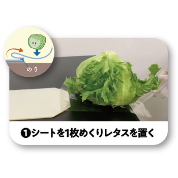 レタスくるりんぱシート180×590 精工